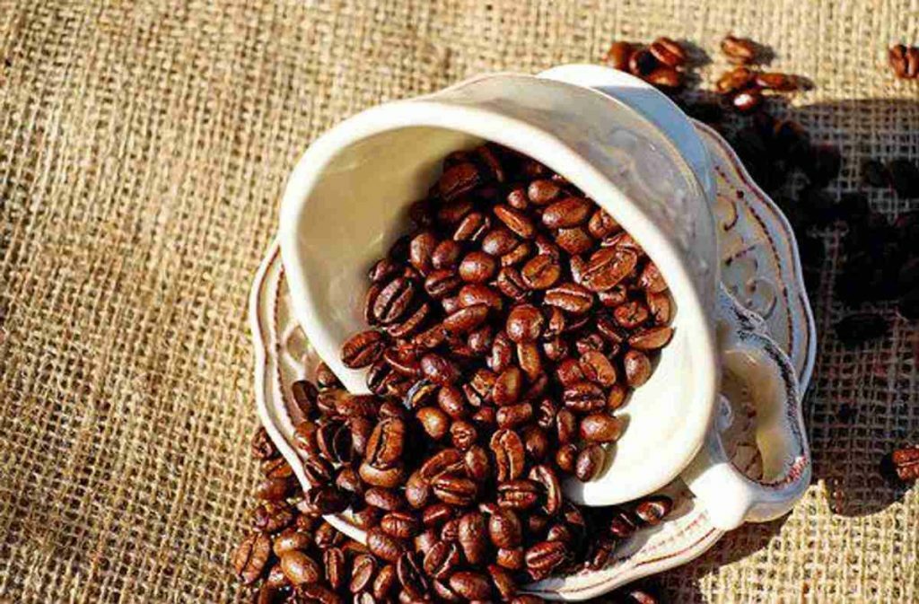 Guide to Cold Brew Coffee Makers