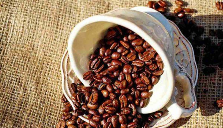 Guide to Cold Brew Coffee Makers