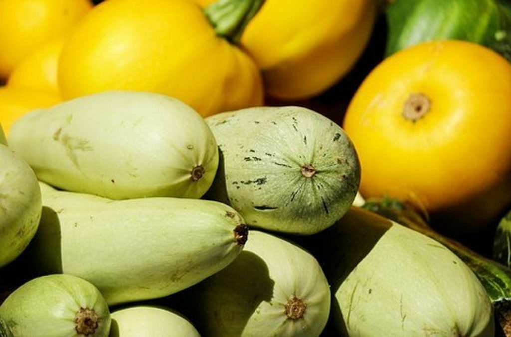 Why I Became a Vegetarian