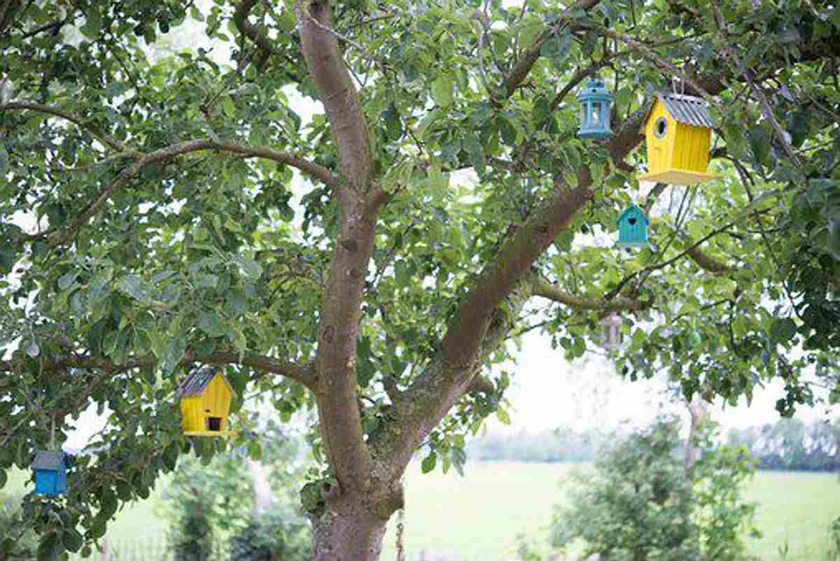 How to Select the Perfect Birdhouse