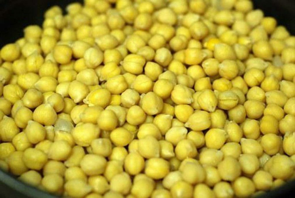 Protein Energy Malnutrition