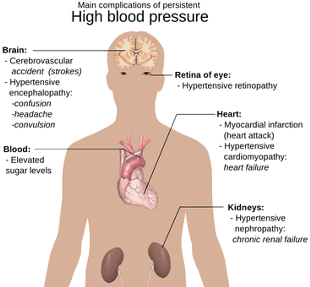 How Protein Affects High Blood Pressure