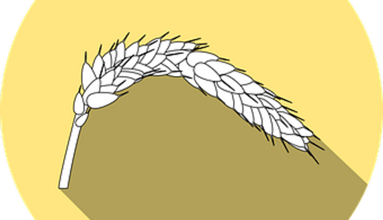 The Gluten-Free Diet and Your Celiac Child