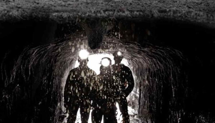 How to Stop Your Dog From Digging