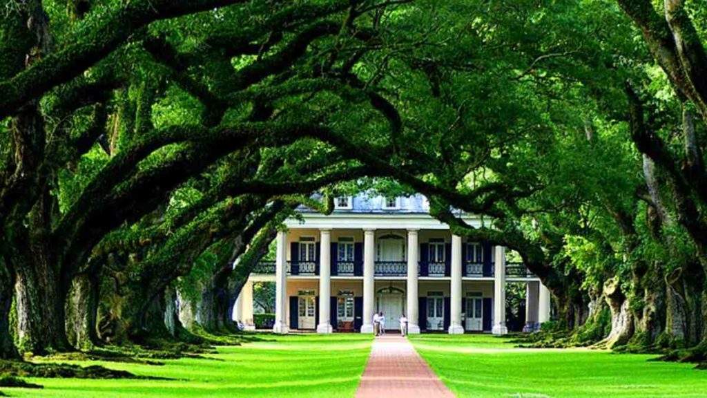 Homeowner's Insurance in Louisiana