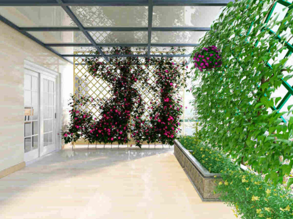 Garden Screening Enhancing Privacy and Style in Your Outdoor Space