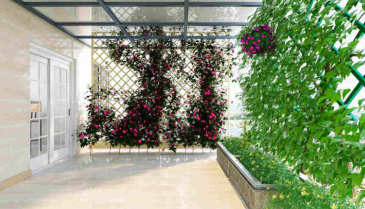Garden Screening Enhancing Privacy and Style in Your Outdoor Space