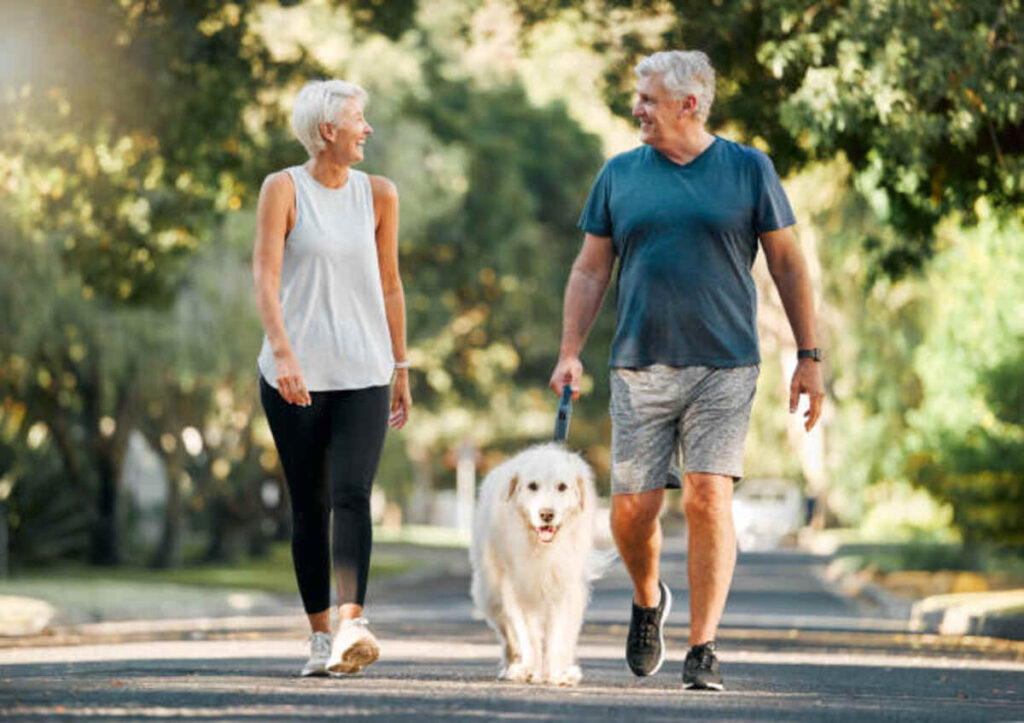 Supplements for Erectile Dysfunction